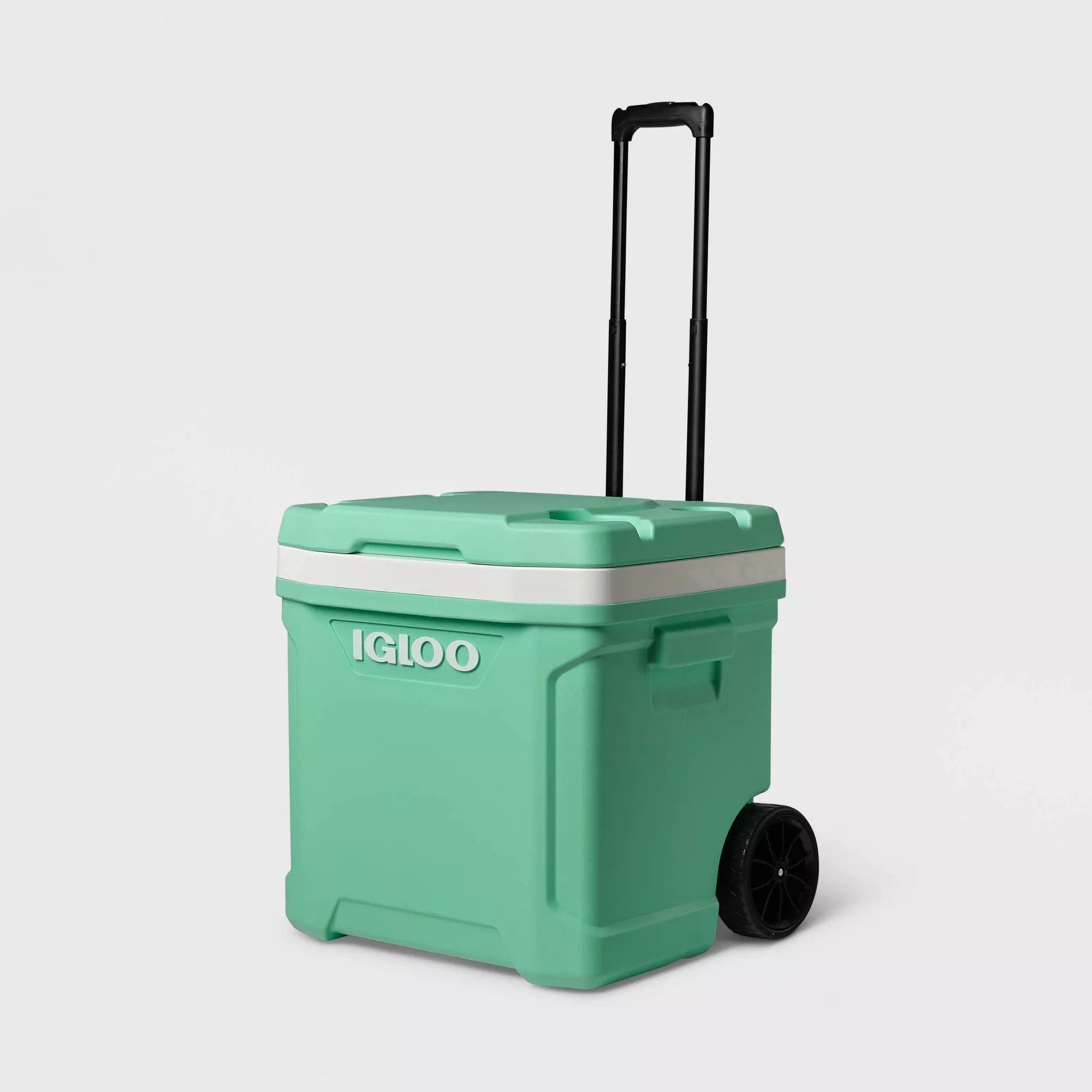 The cooler in mint green