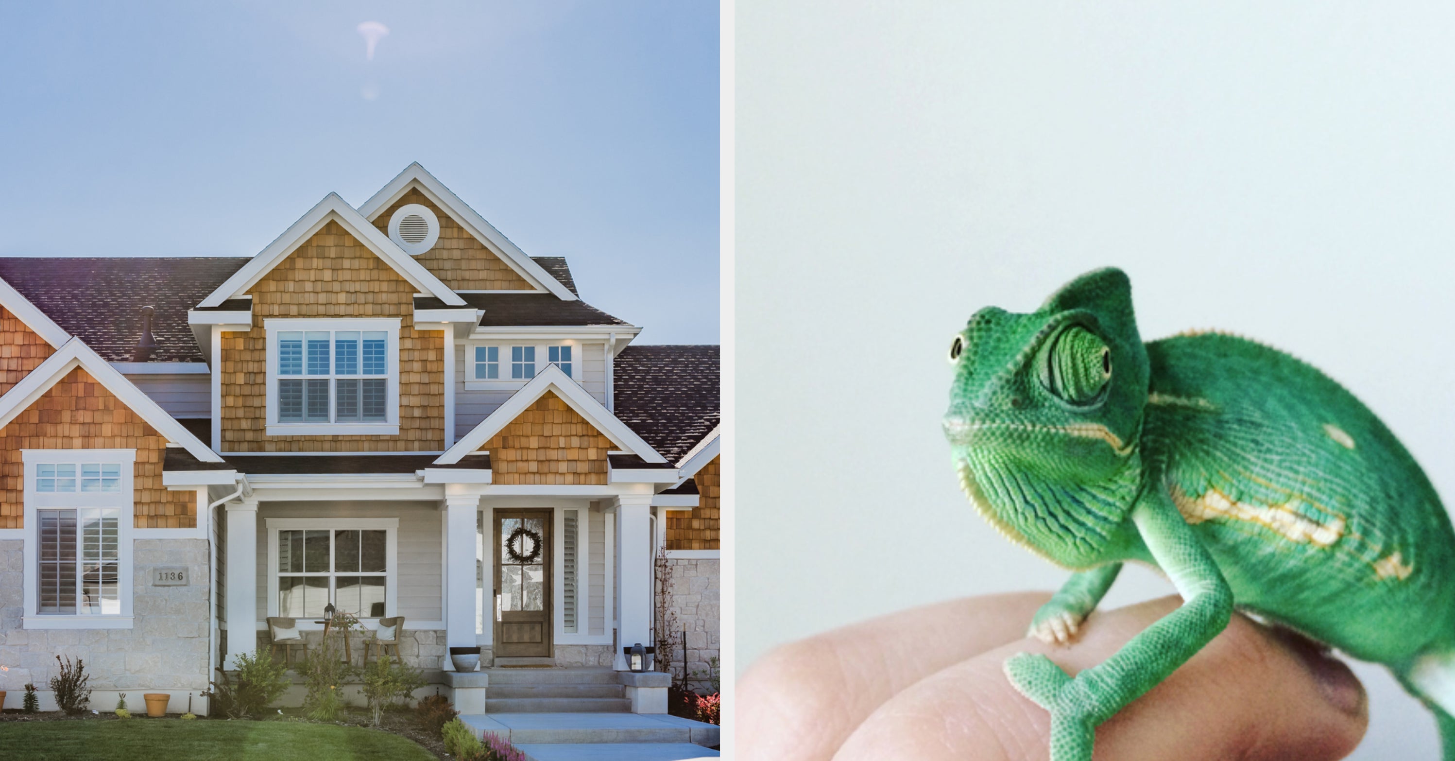 Build A Home And We'll Reveal What Pet You Should Get