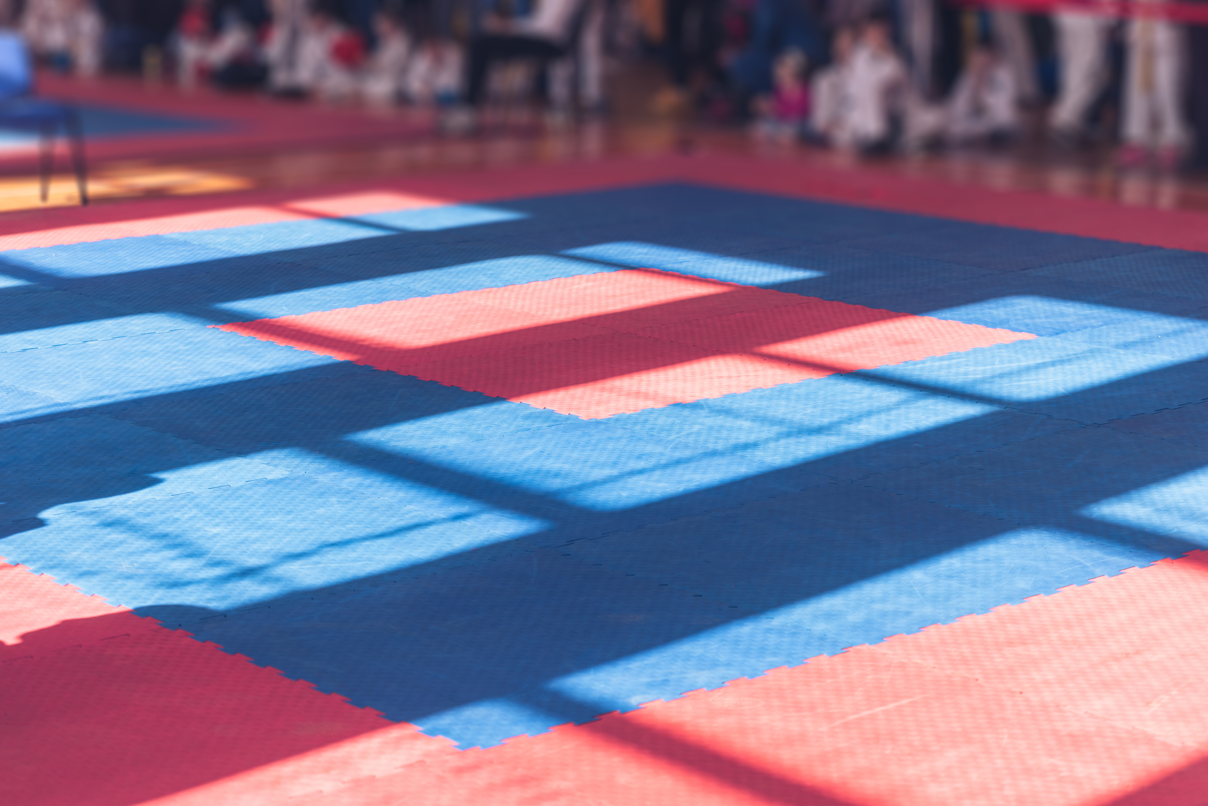 Soft mat floors of a martial arts dojo
