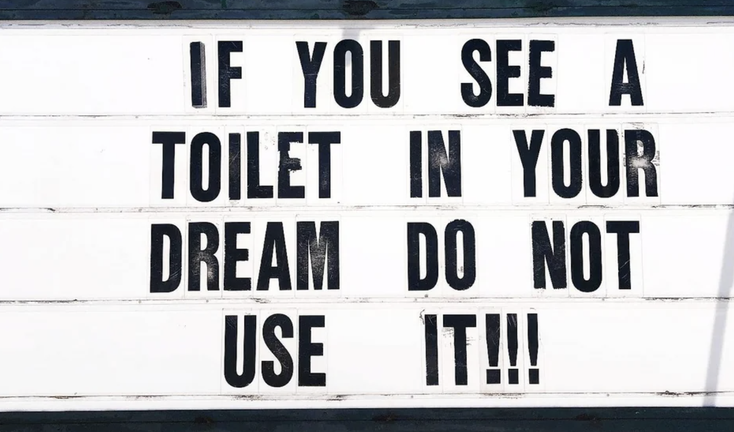 "If you see a toilet in your dream do not use it!!!"