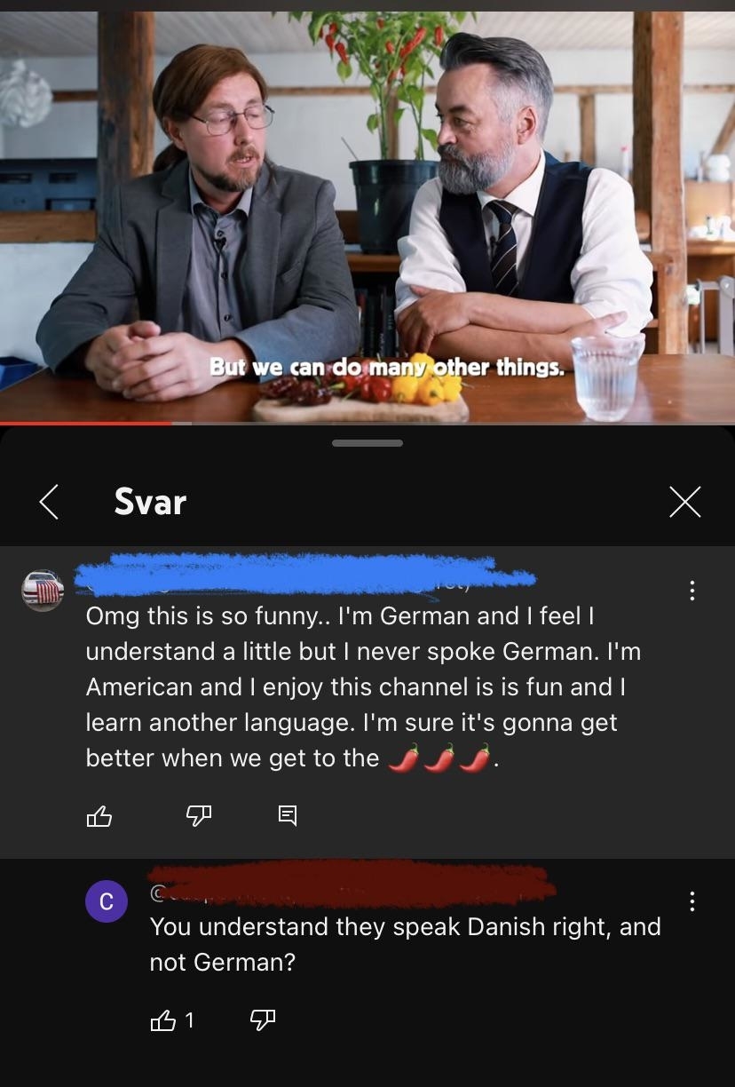 &quot;I&#x27;m German and I feel I understand a little but I never spoke German.&quot;