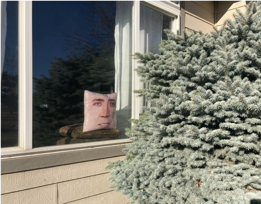 A Nicolas Cage pillow in someone&#x27;s window