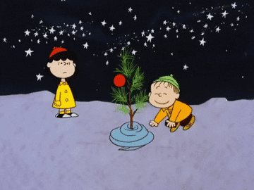 scene with tiny tree in a charlie brown christmas