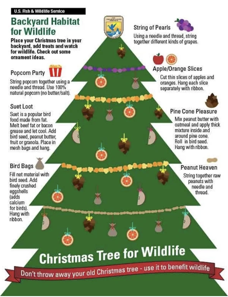 christmas tree for wildlife tips