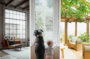 split frame of industrial living room, a dog and a baby at a window, and a greenery-filled sunroom