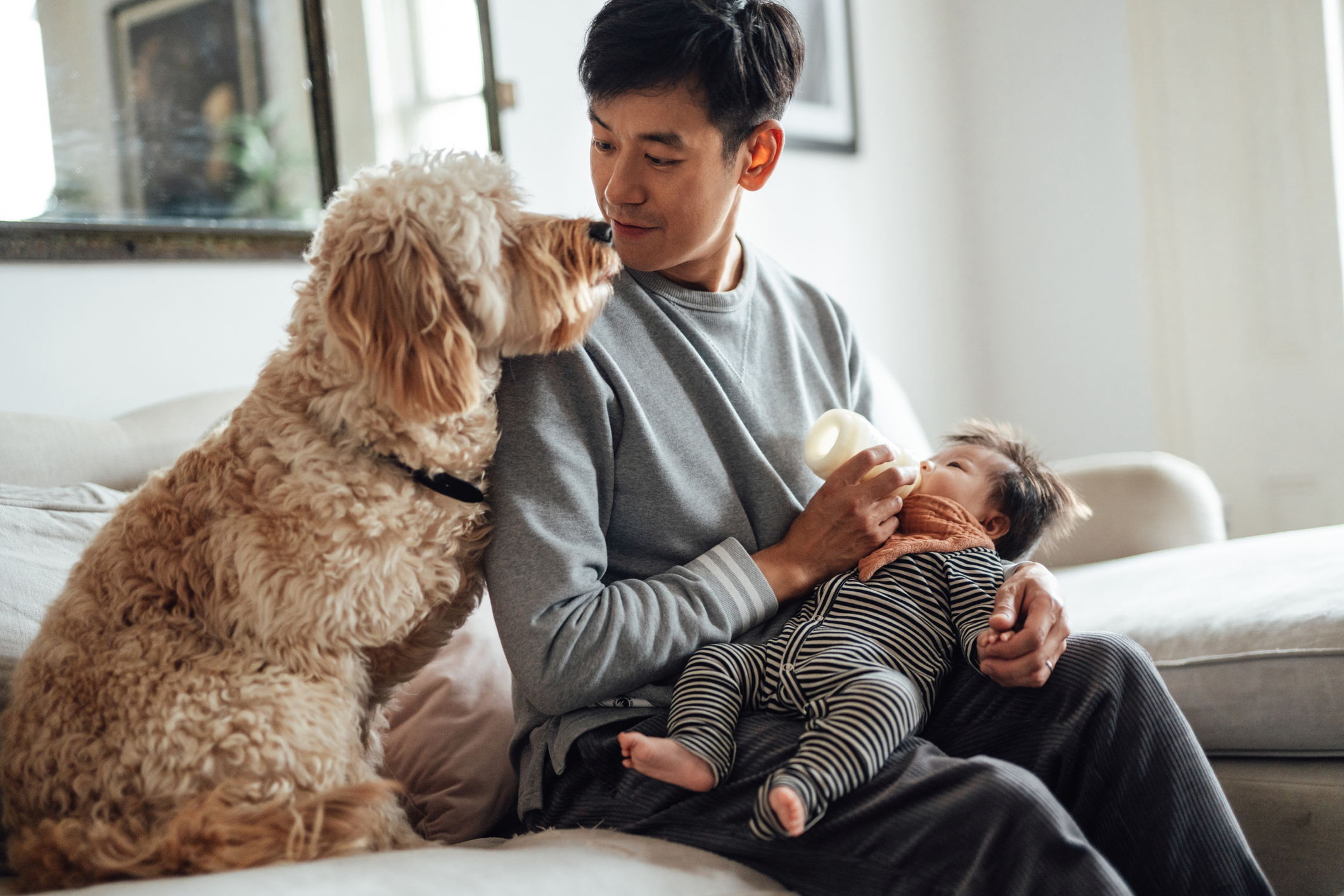 A man feeding his baby while his dog sits close by and watches