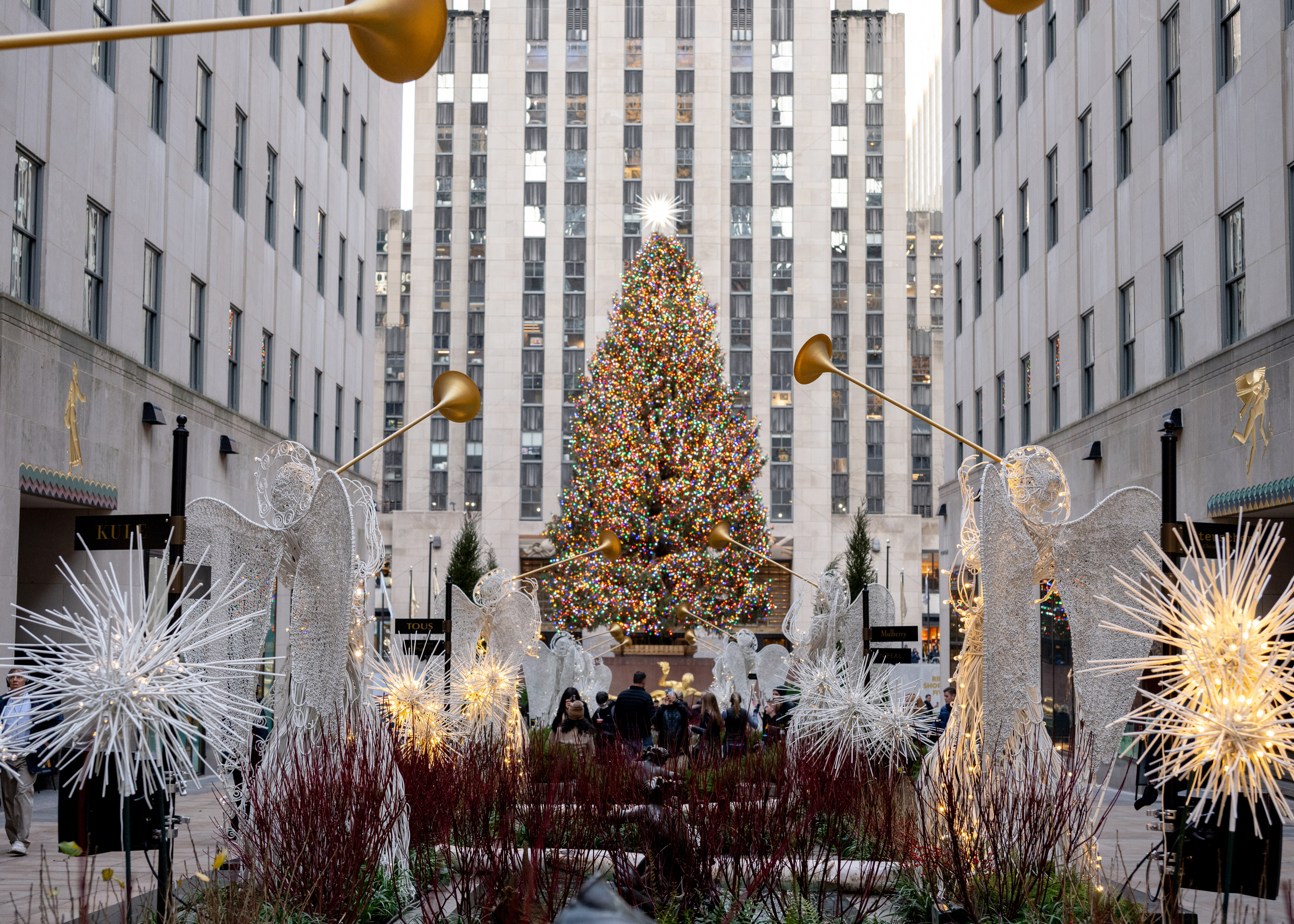 Rockefeller Center&#x27;s Christmas tree