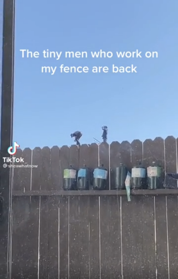 perception makes it look like tiny men are on top of a fence
