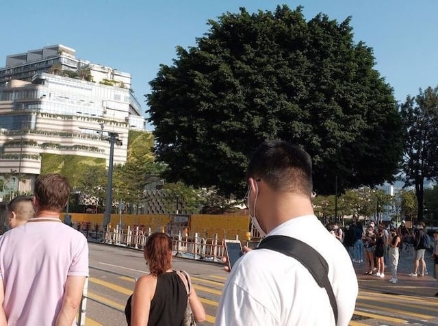 tree in the background looks like it's someon's hair