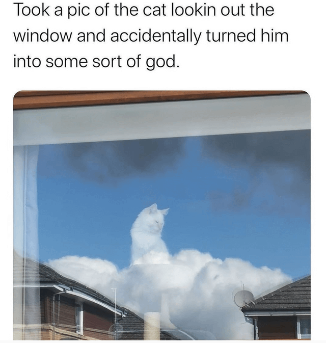 looks like a cat is in the clouds