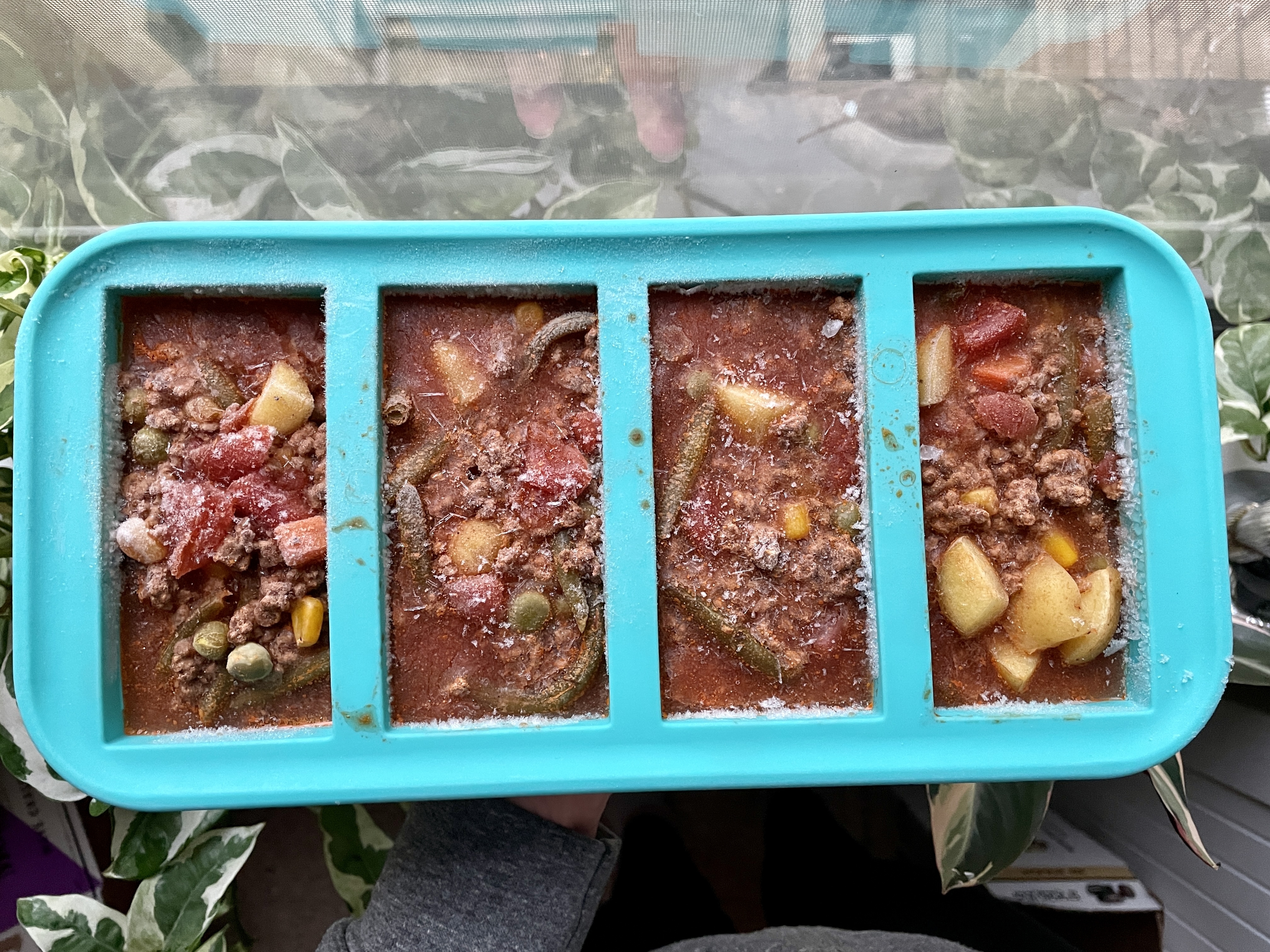 Souper Cubes Review: This Shark Tank Product Freezes Food in Perfect  Portions — The Keto Minimalist