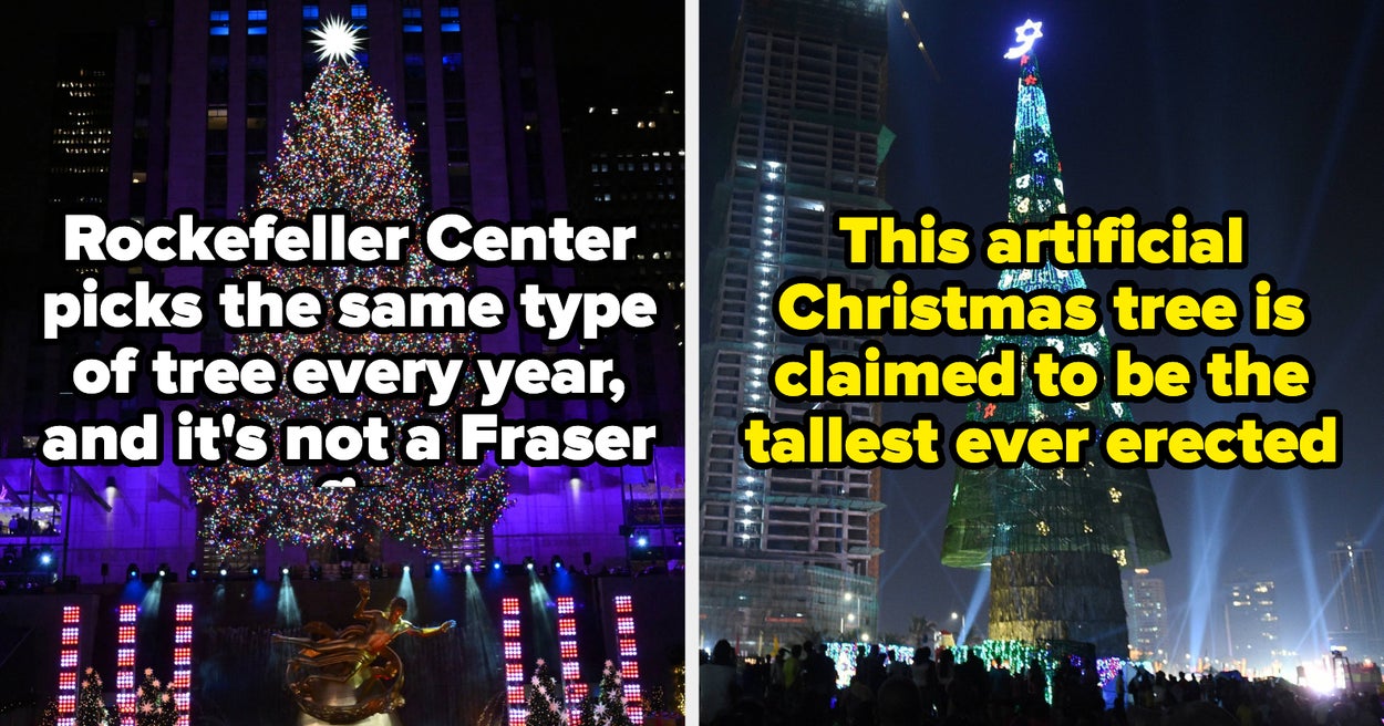 16 Facts About Christmas Trees That Make Them All The More Interesting Technocharger