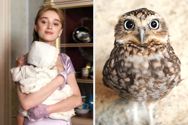 On the left, Daphne from Bridgerton holding her baby, and on the right, an owl with big eyes