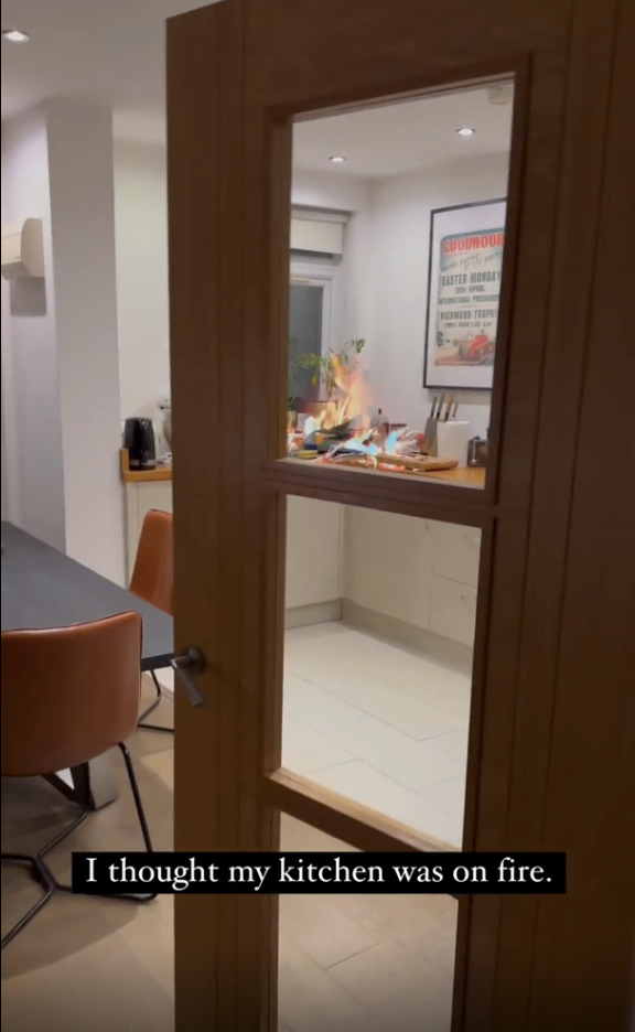 looks like the kitchen is on fire