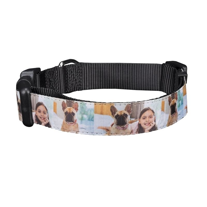 Pet collar with photos of dog and girl