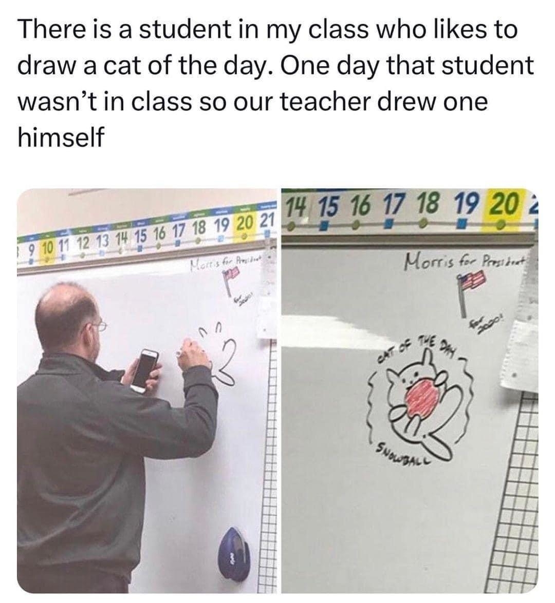 Teacher at the whiteboard looking at a phone and drawing a cat, next to the final version, &quot;Cat of the Day: Snowball&quot;