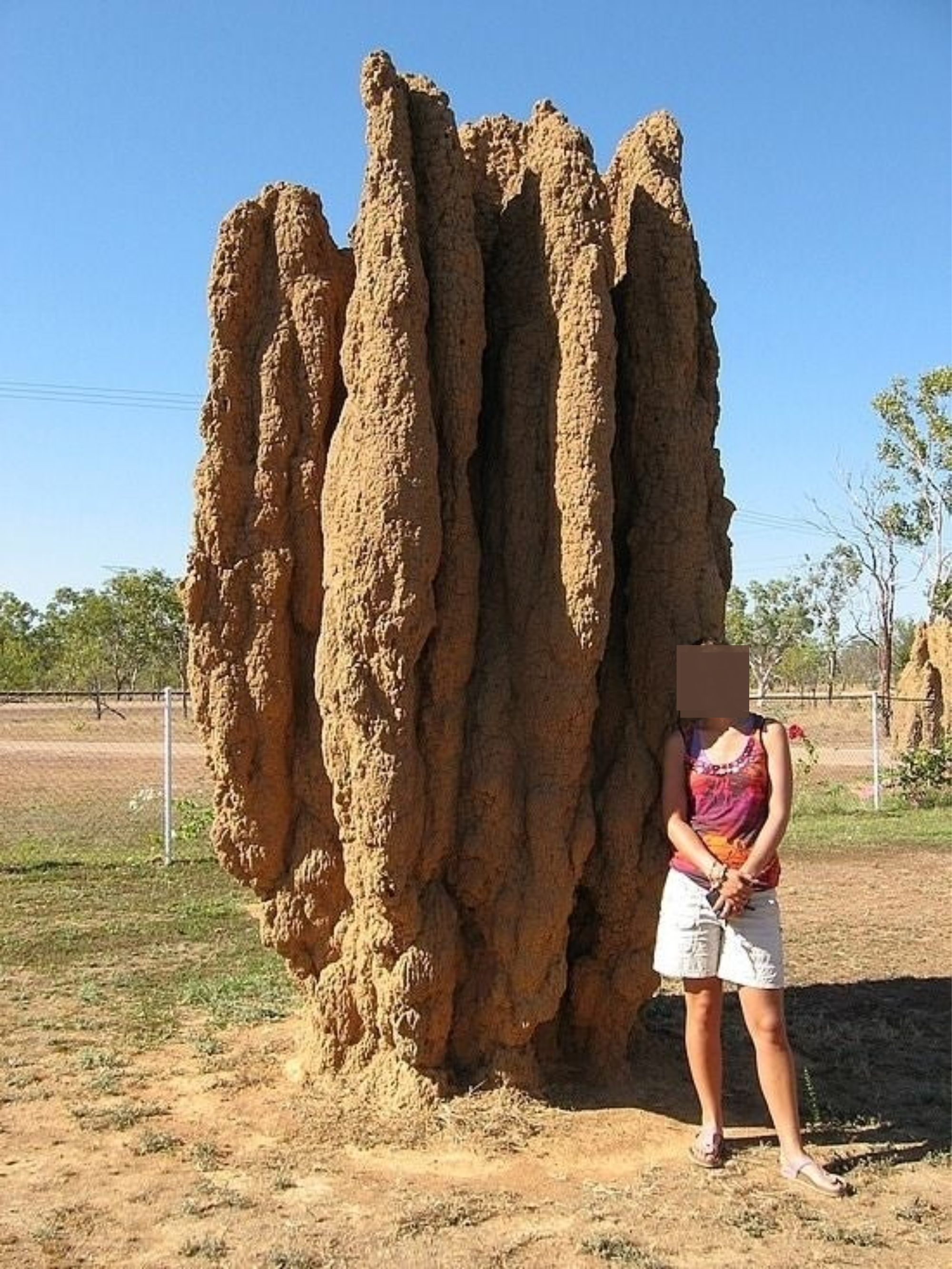 a woman next to a termite hill
