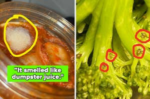 a moldy jar of kimchi and broccoli with bugs on it