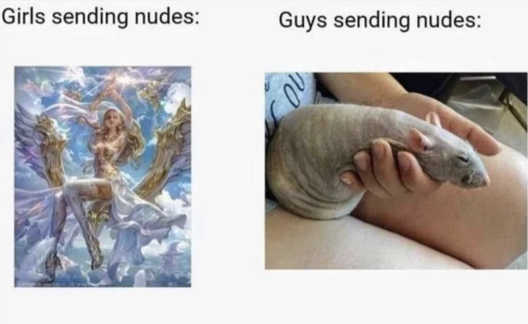 Comparing men and women sending nudes