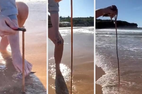 someone on the beach holding a very long worm