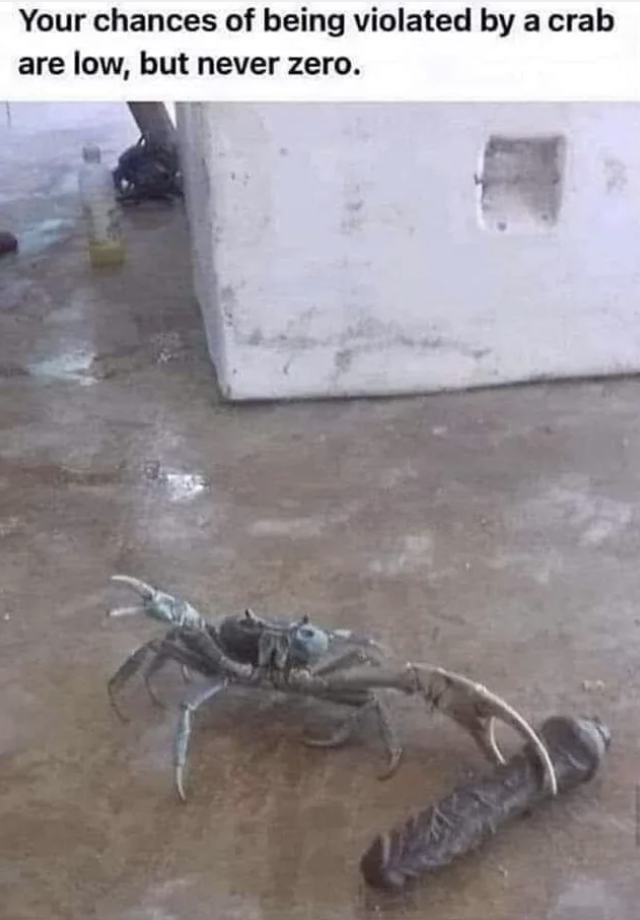 Closeup of a crab holding a dildo