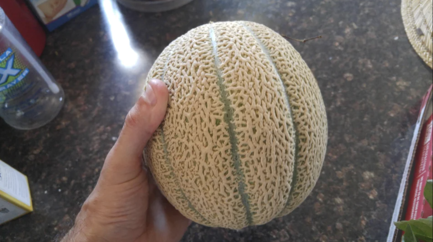 A person is showing off a melon