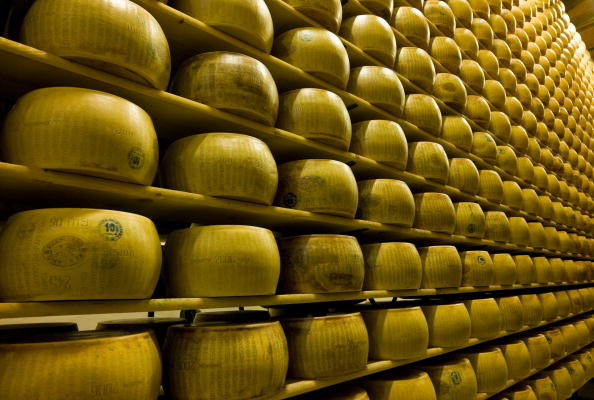 Wheels of cheese on a shelf