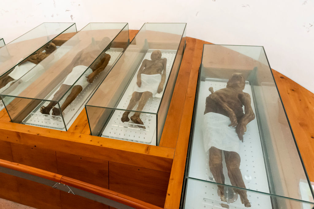 the Mummies of Venzone