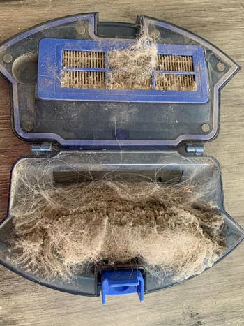 reviewer's full dust cartridge, packed with pet hair and grime
