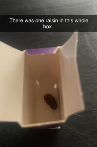 opened box with only one raisin inside