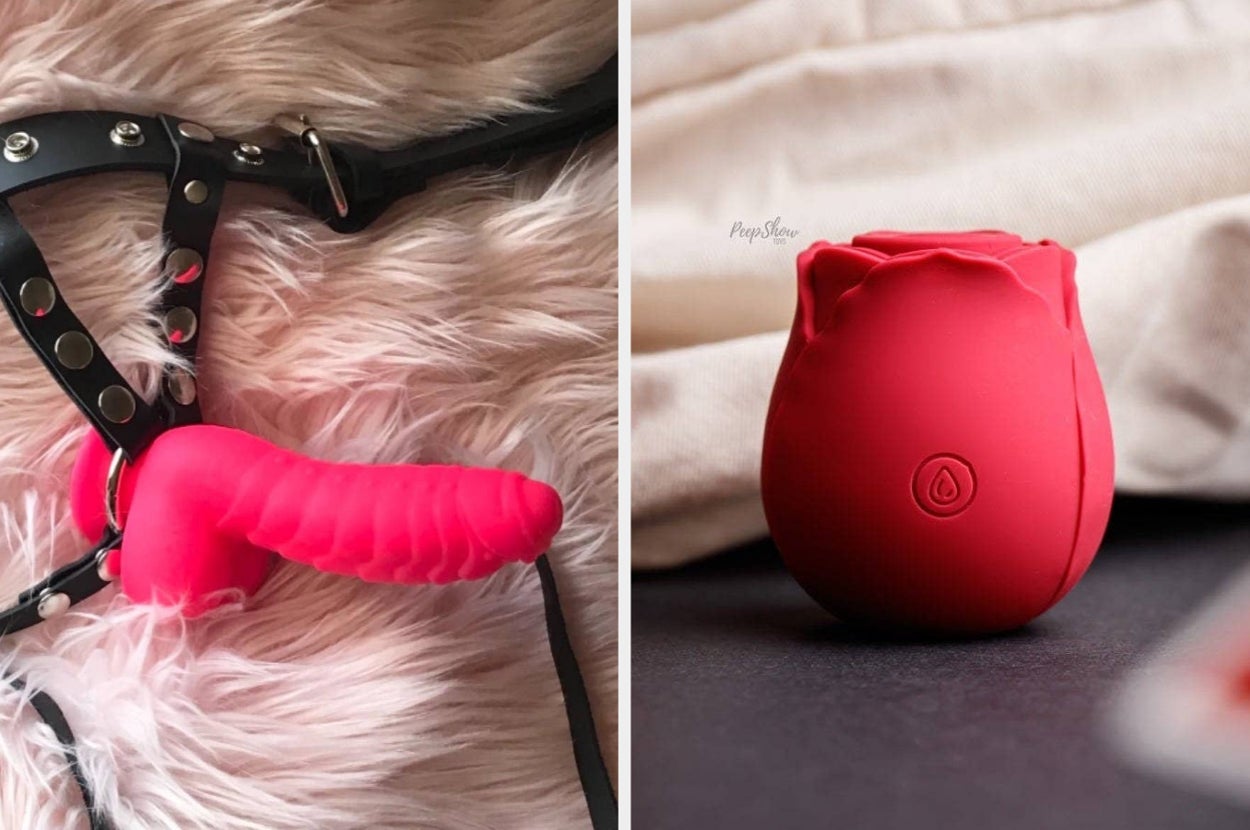 pink textured dildo in black harness and red rose-shaped vibrator on display