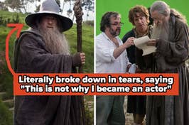 ian mckellan in the hobbit captioned "Literally broke down in tears, saying 'This is not why I became an actor'"