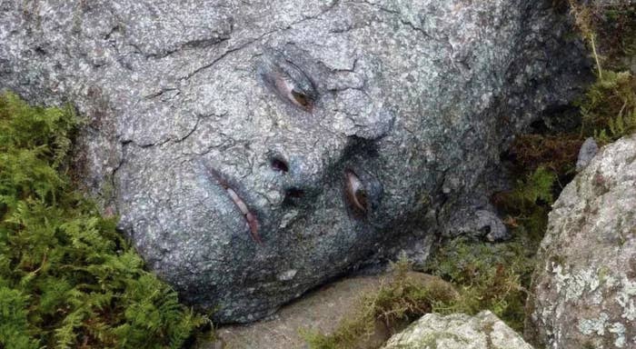 A rock with a face