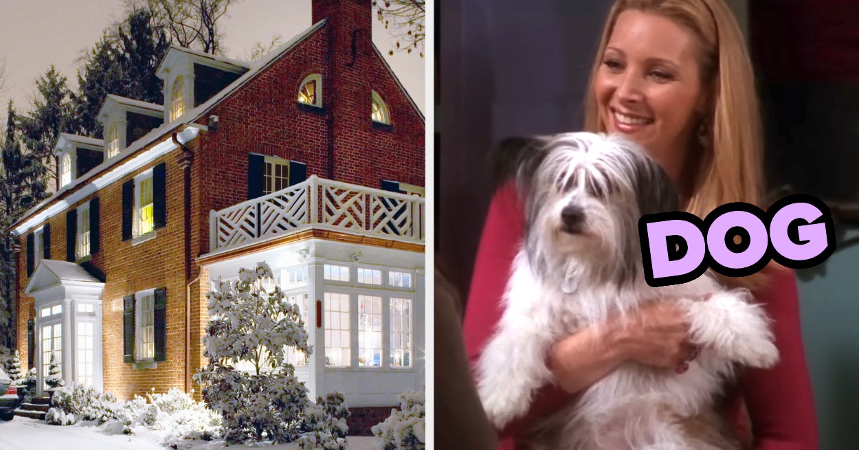 Build House Guess Favorite Animal Quiz