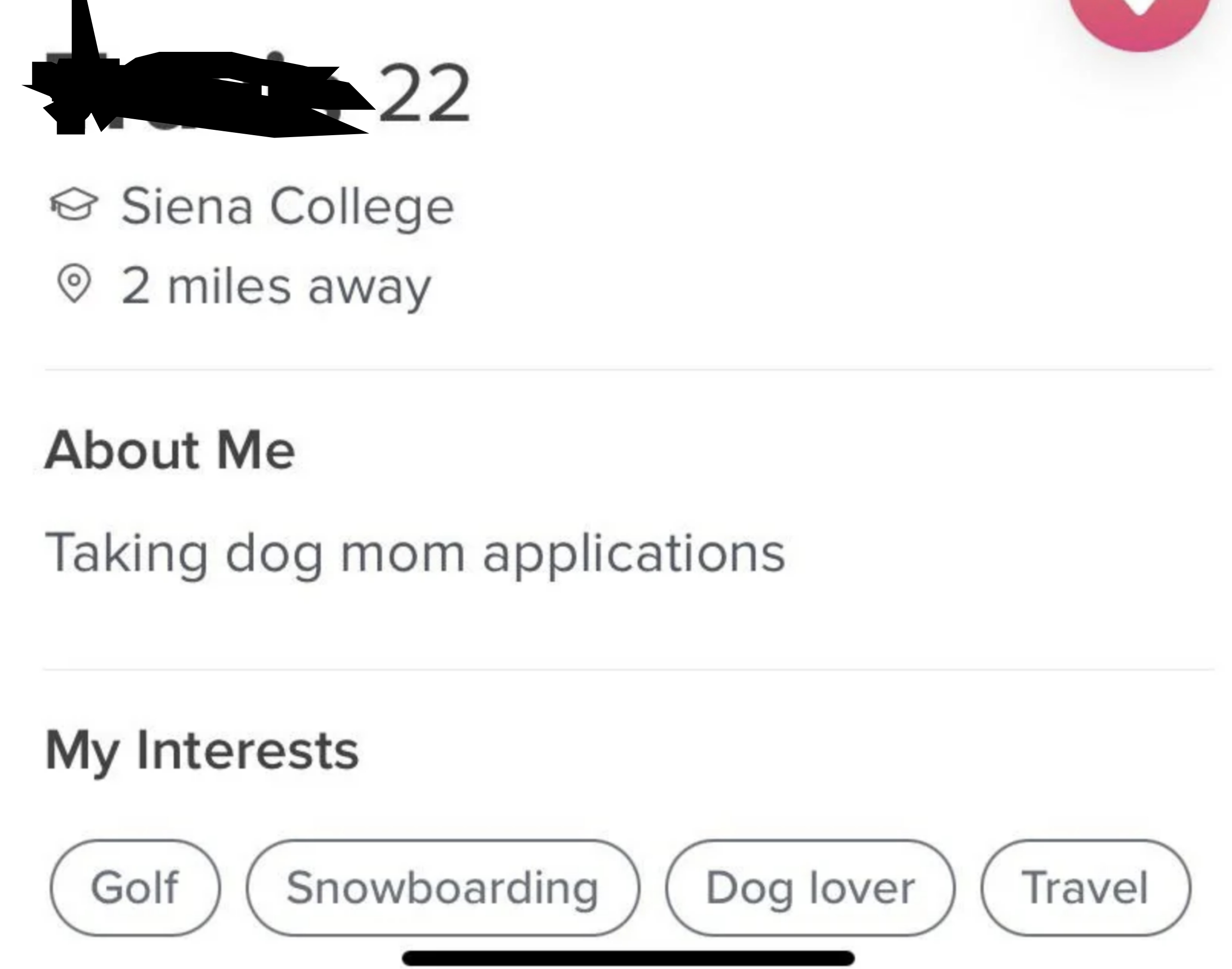 A man named Travis has an about me that simply says "taking dog mom applications"