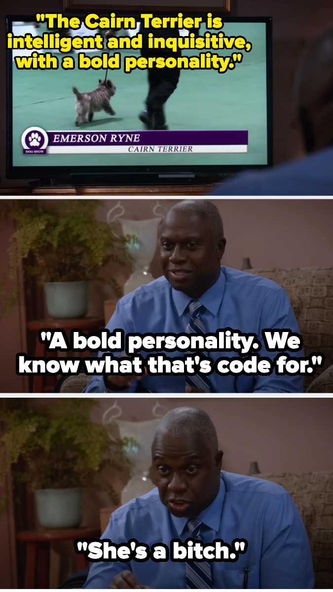 Holt watching a dog show and saying that &quot;bold personality&quot; is code for &quot;bitch&quot;