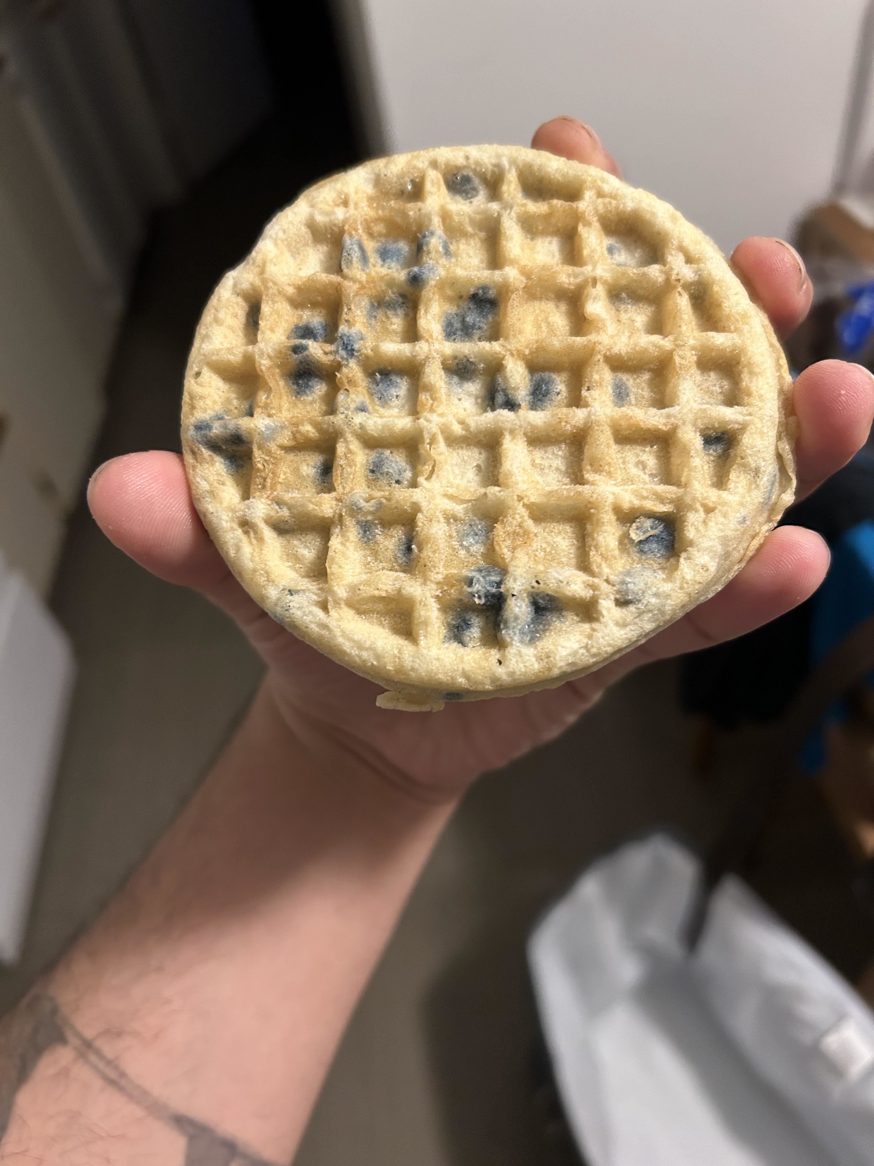 A person holding a mouldy waffle