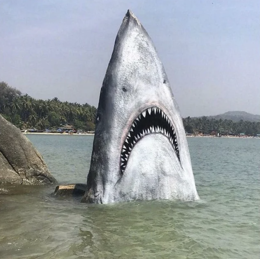 A rock painted like a shark