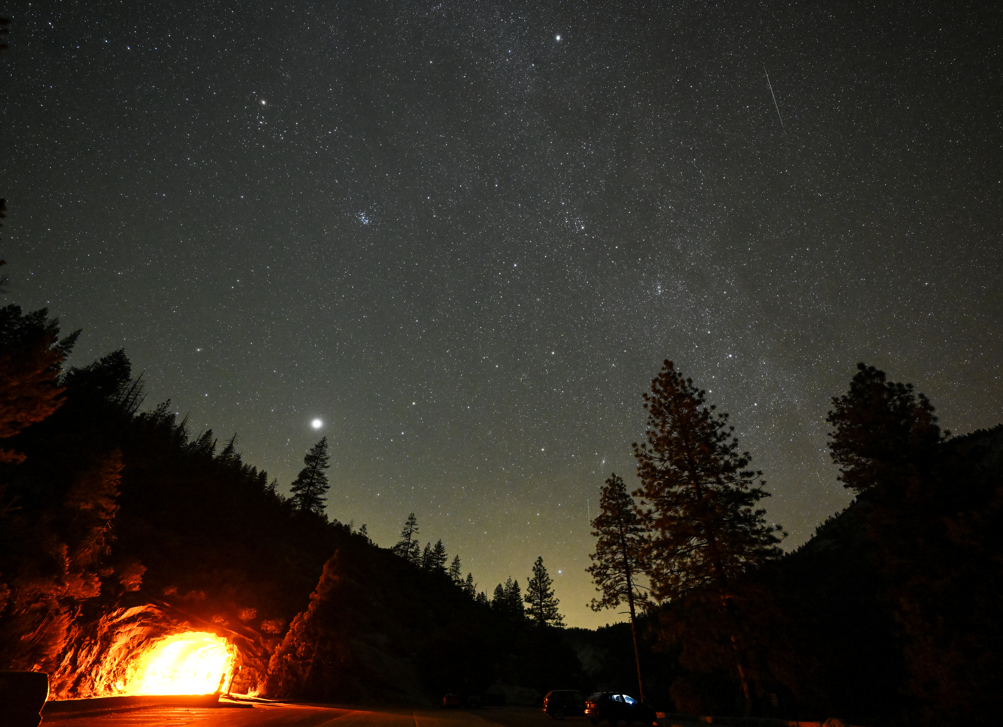 View of the starry night sky above trees showing the constellation