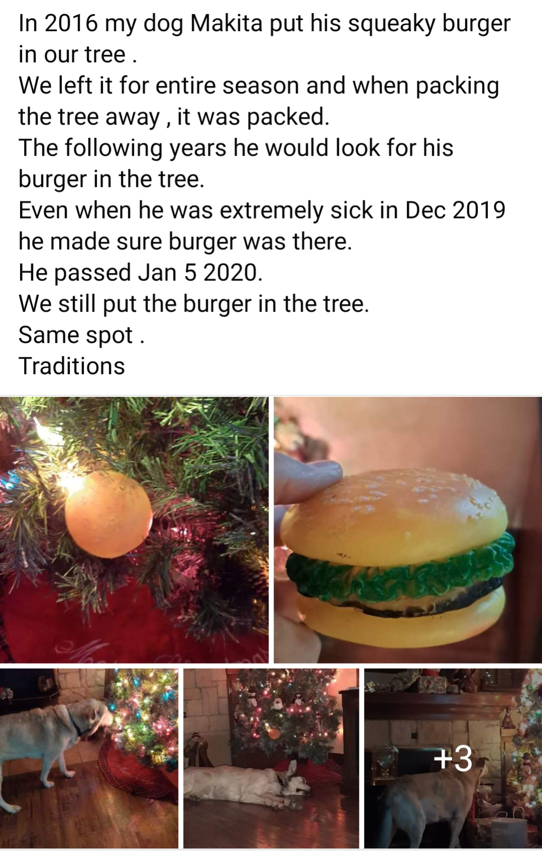 Their dog put his squeaky cheeseburger toy in the Xmas tree one year and it got packed away with the tree; the dog would look for his toy in the tree every year after, even when he was very sick; when he died, they put the toy in the tree at the same spot