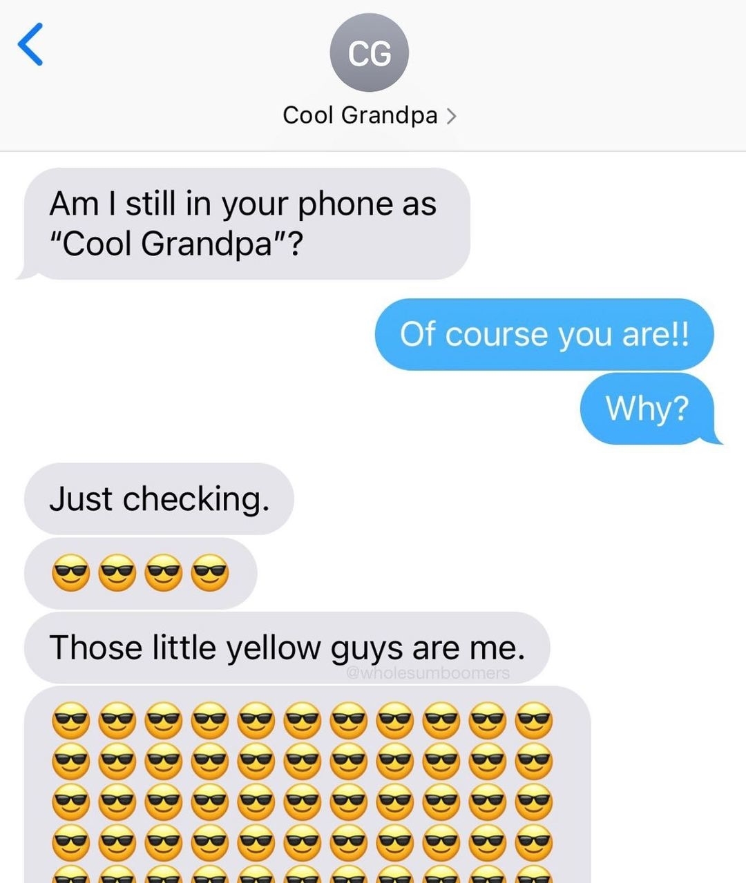 &quot;Am I still in your phone as &#x27;Cool Grandpa&#x27;?&quot; &quot;Of course you are, why?&quot; &quot;Just checking&quot; and &quot;Those little yellow guys are me,&quot; followed by rows of smiley face emojis wearing sunglasses