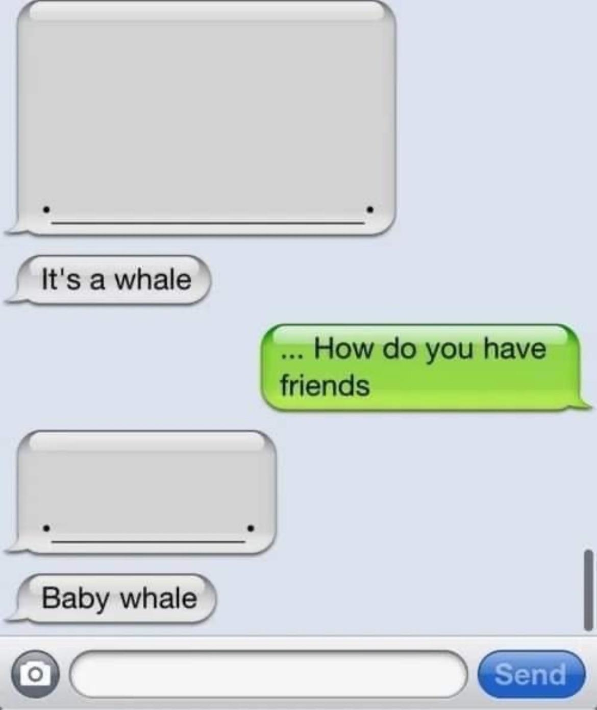 &quot;Baby whale&quot;