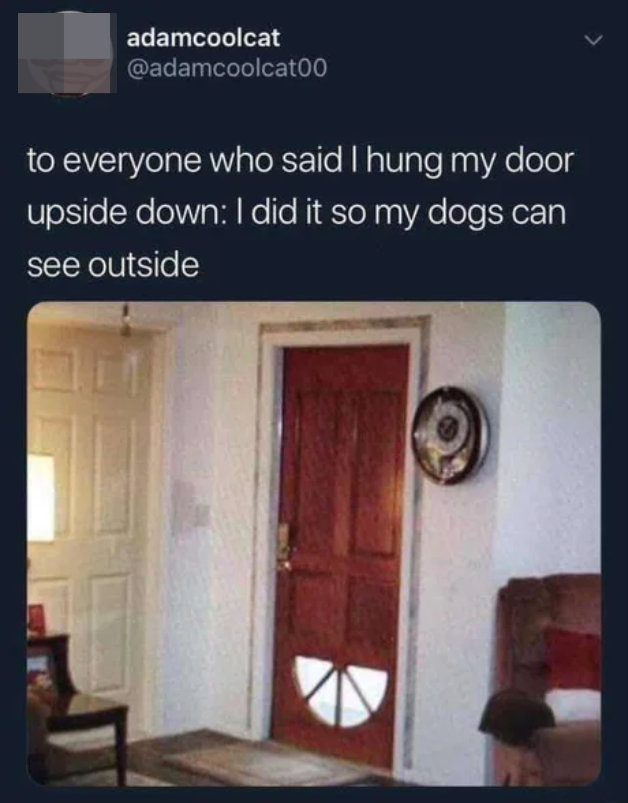 A door with the glass on the bottom, and someone says &quot;to everyone who said I hung my door upside down: I did it so my dogs can see outside&quot;