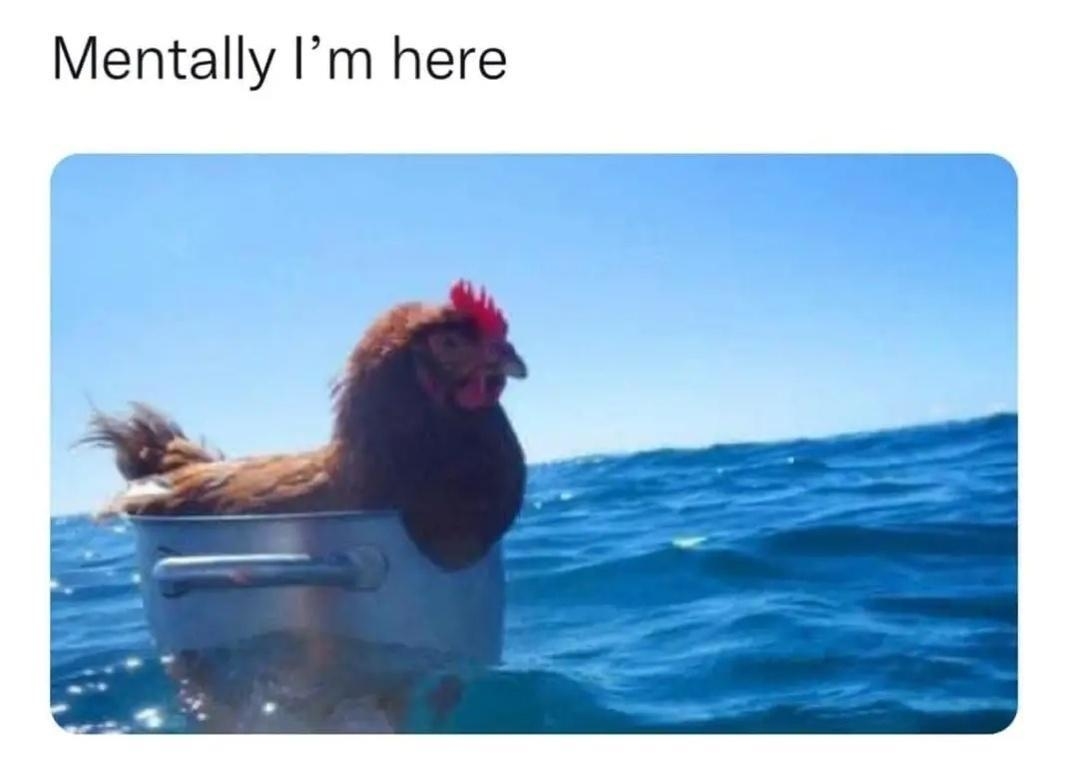 A chicken in a bucket in the ocean