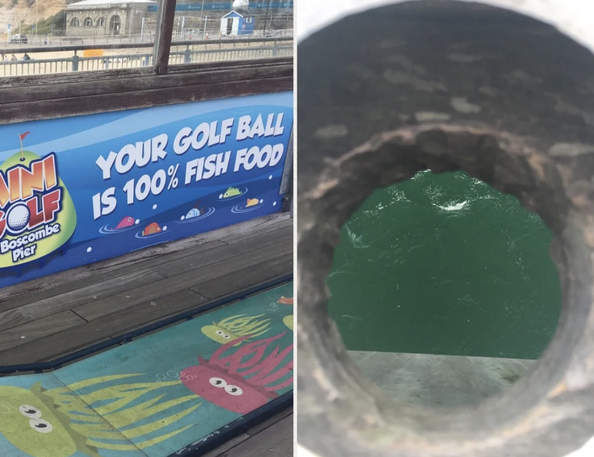 &quot;Your golf ball is 100% fish food&quot;