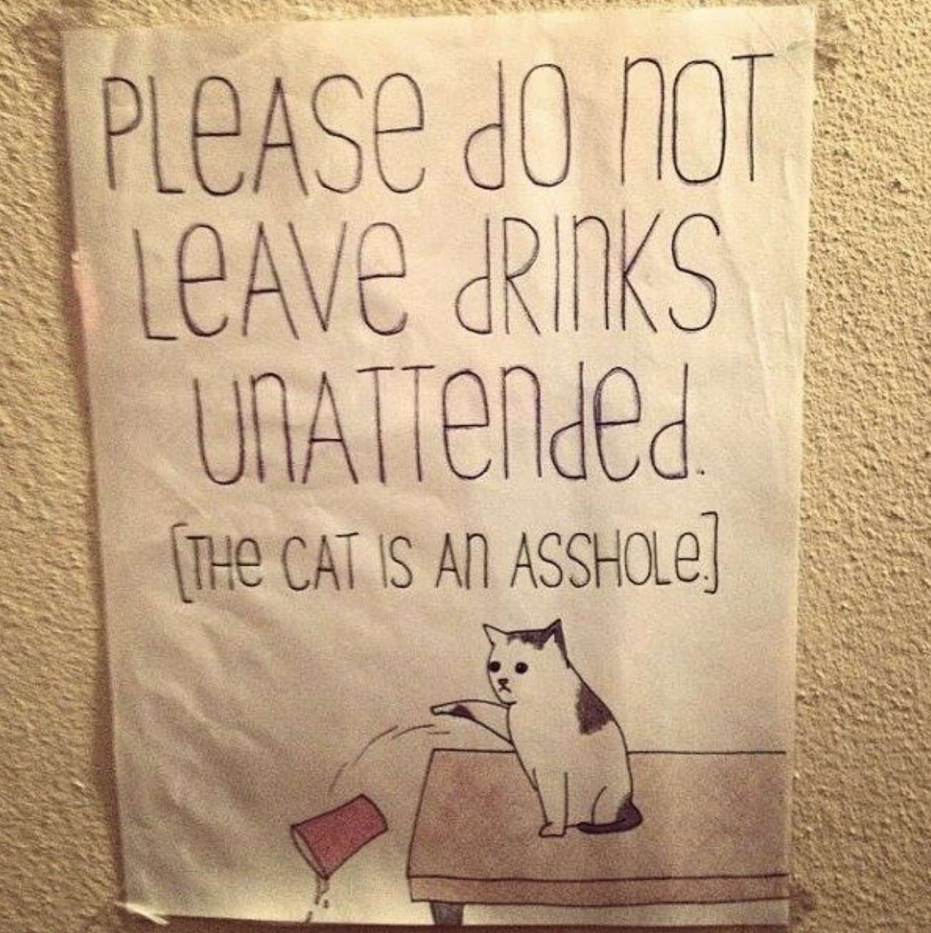 please don&#x27;t leave drinks unattended the cat is an asshole