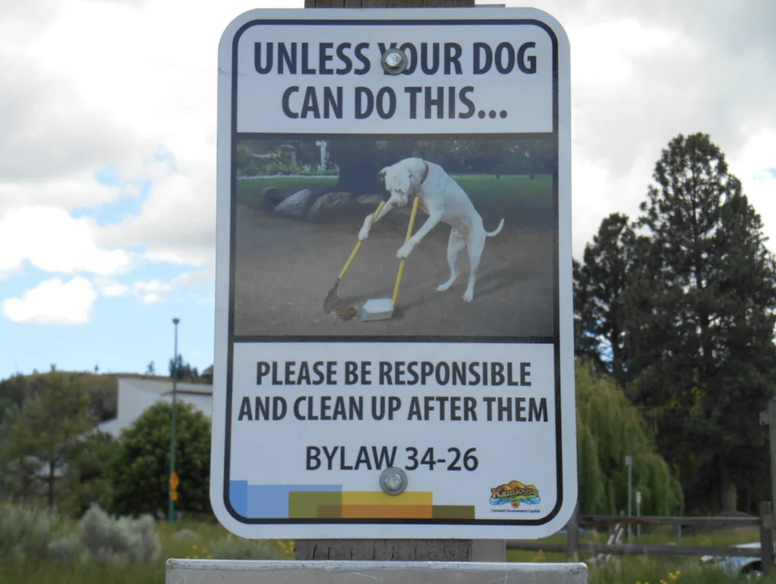 sign with a dog cleaning up it&#x27;s own poop