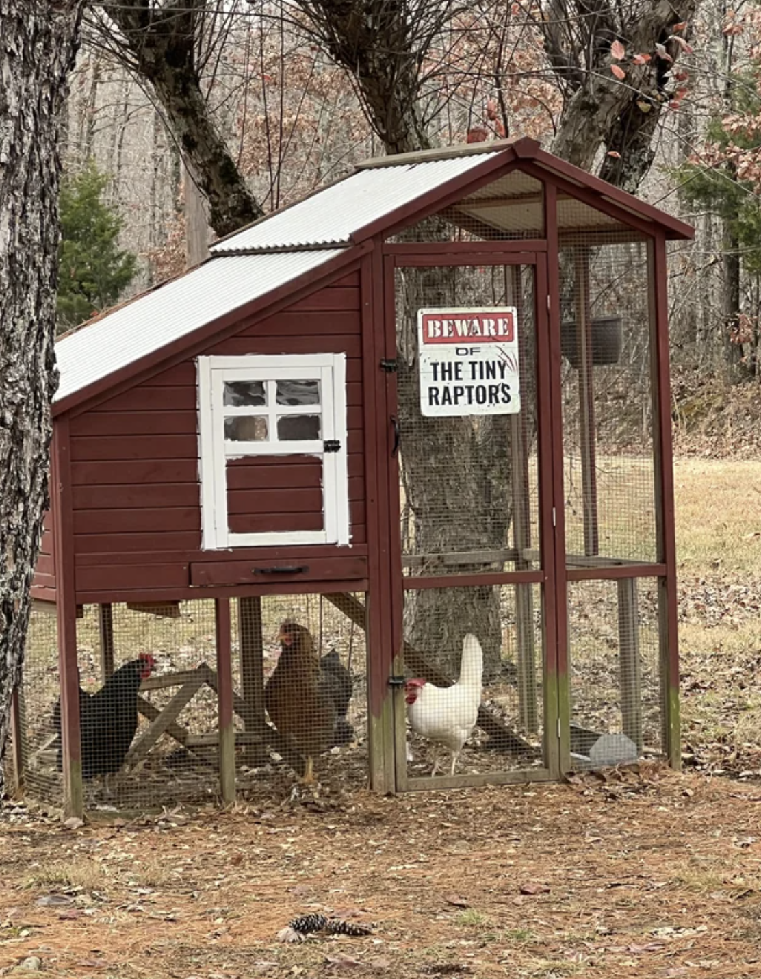 chicken coop with a sign that read, beware of tiny raptors