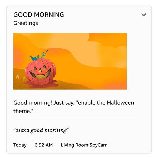 Alexa screenshot