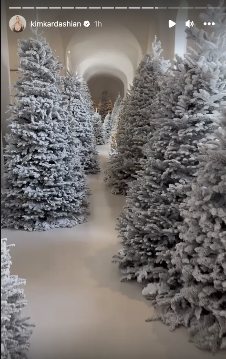 The hallway is filled with snowy Christmas trees